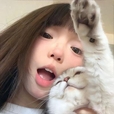 美人追